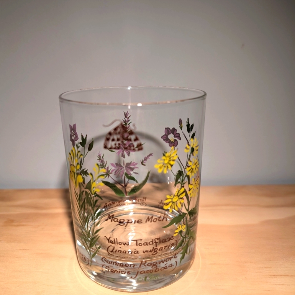 vintage Webb & Bower Ltd Herb Plant Rock Glass Tumbler  John A Brown
